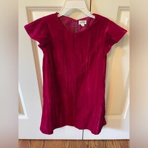 💕Dark pink velvet Gymboree dress in Size 5💕
